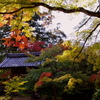 西明寺