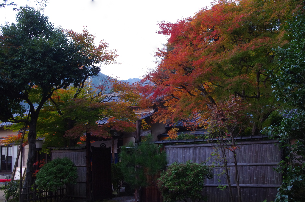 京都　大原　紅葉