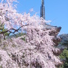 醍醐の五重塔