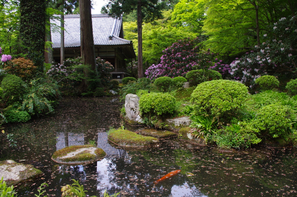 大原三千院