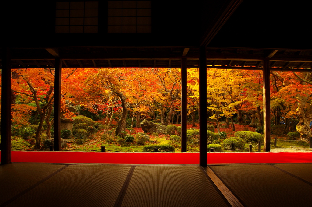 圓光寺　十牛之庭