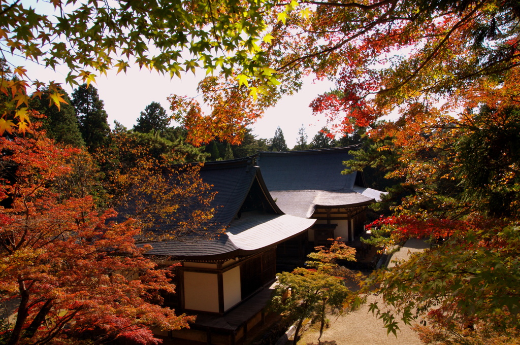 神護寺の紅葉
