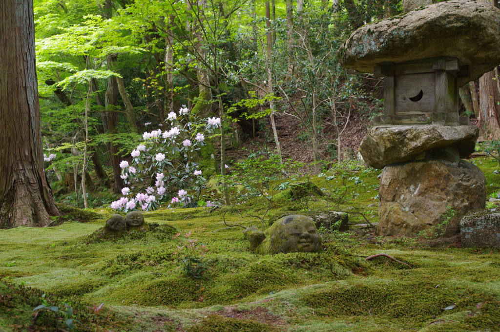 大原三千院