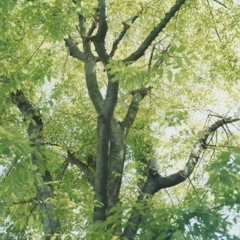 2010-001
