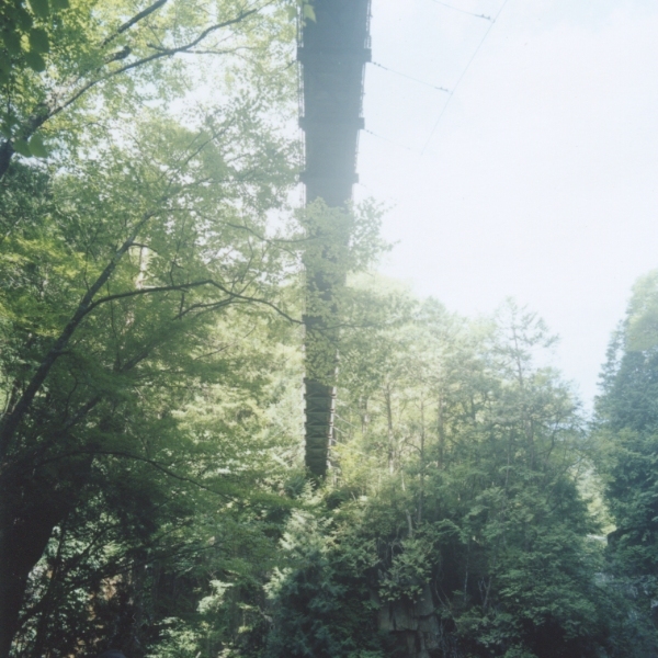 2010-005