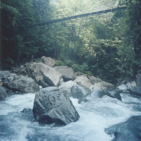 2010-006