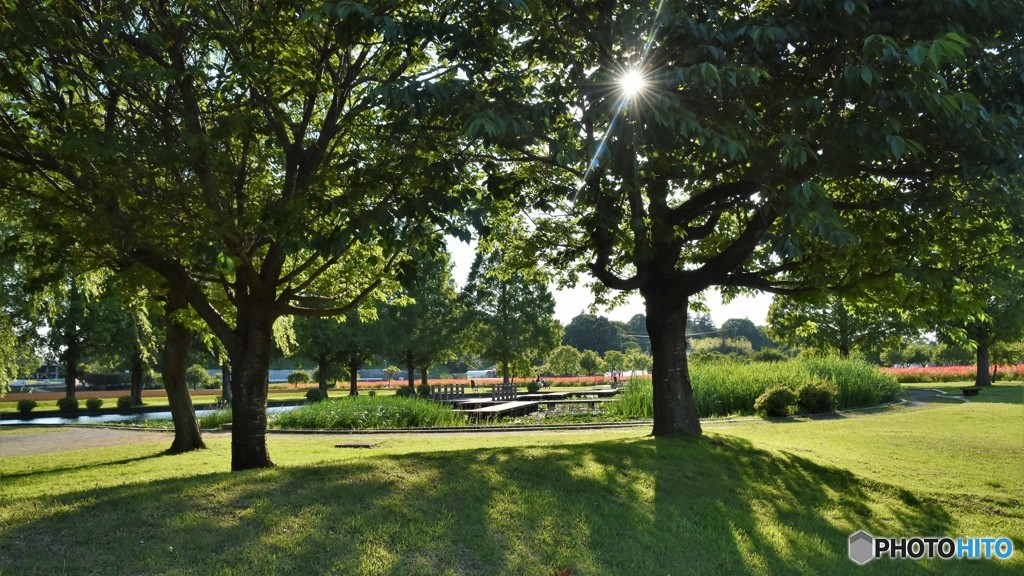 あけぼの山公園