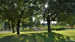 あけぼの山公園