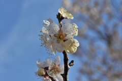 元気よくパッチリ