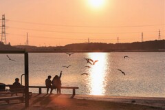 カモメが舞う時