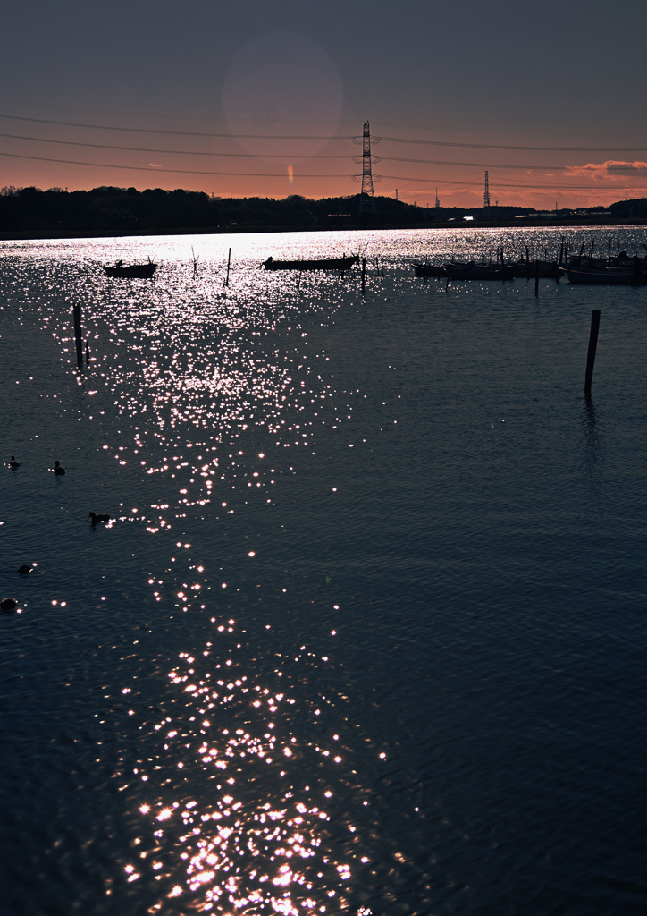 DSC_6277