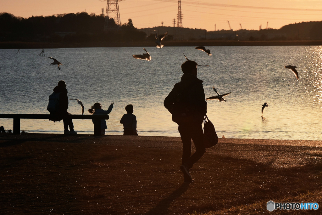 DSC_3625「帰宅」