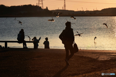 DSC_3625「帰宅」