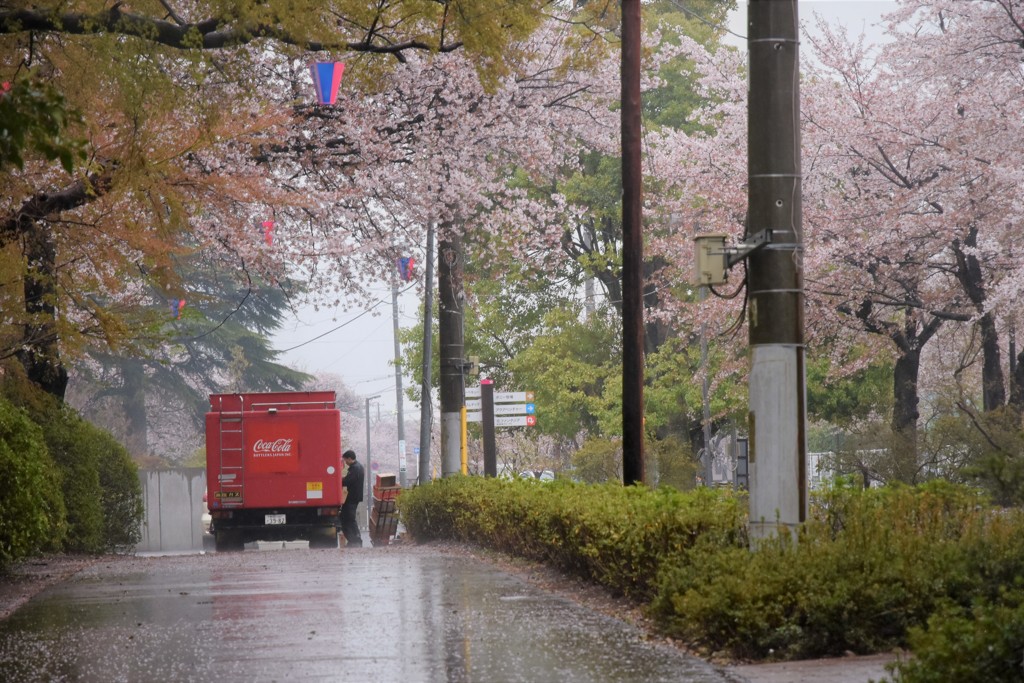 雨の日