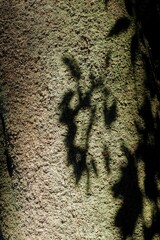 DSCF7057
