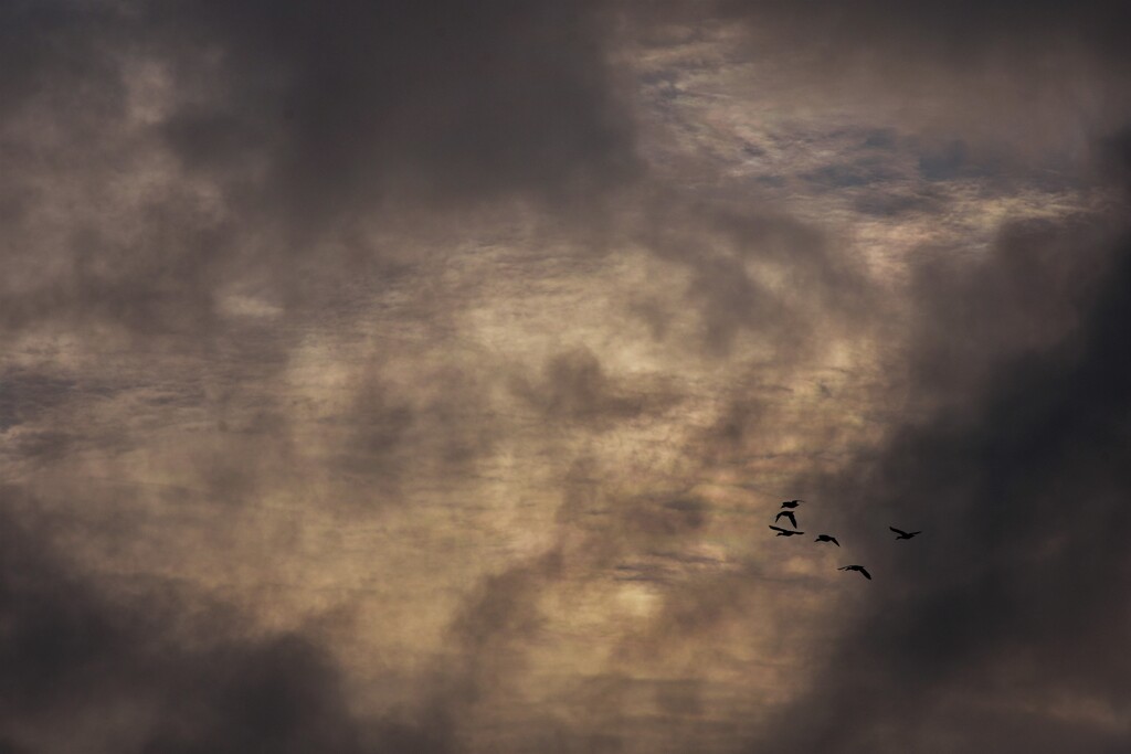 DSC_1928 