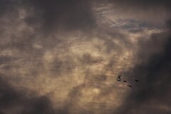 DSC_1928 