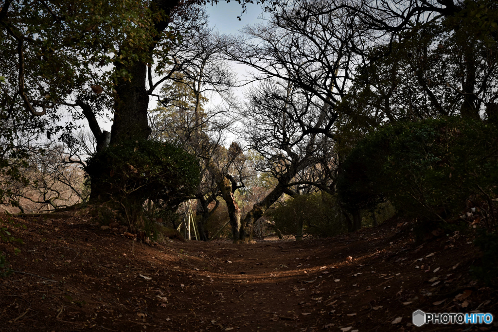 誰もいない公園
