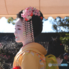 舞妓さん