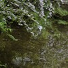 水辺