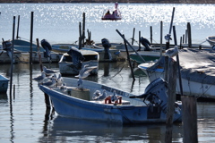 DSCF6597