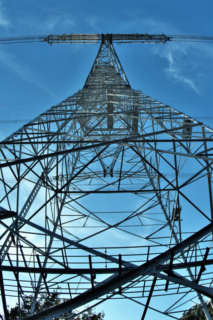 見上げれば・・送電線