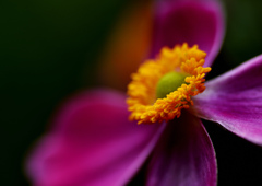 DSC_8400