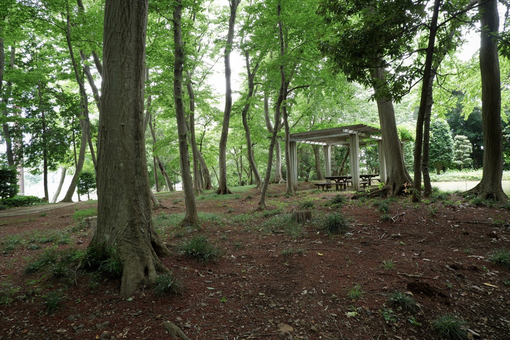 公園