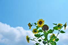 あつくなりました・・・