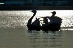 DSCF6727