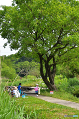 新緑の中で