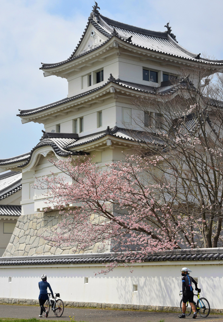 城と桜