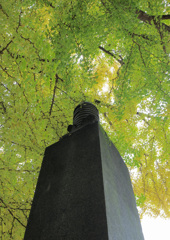 DSCF8344