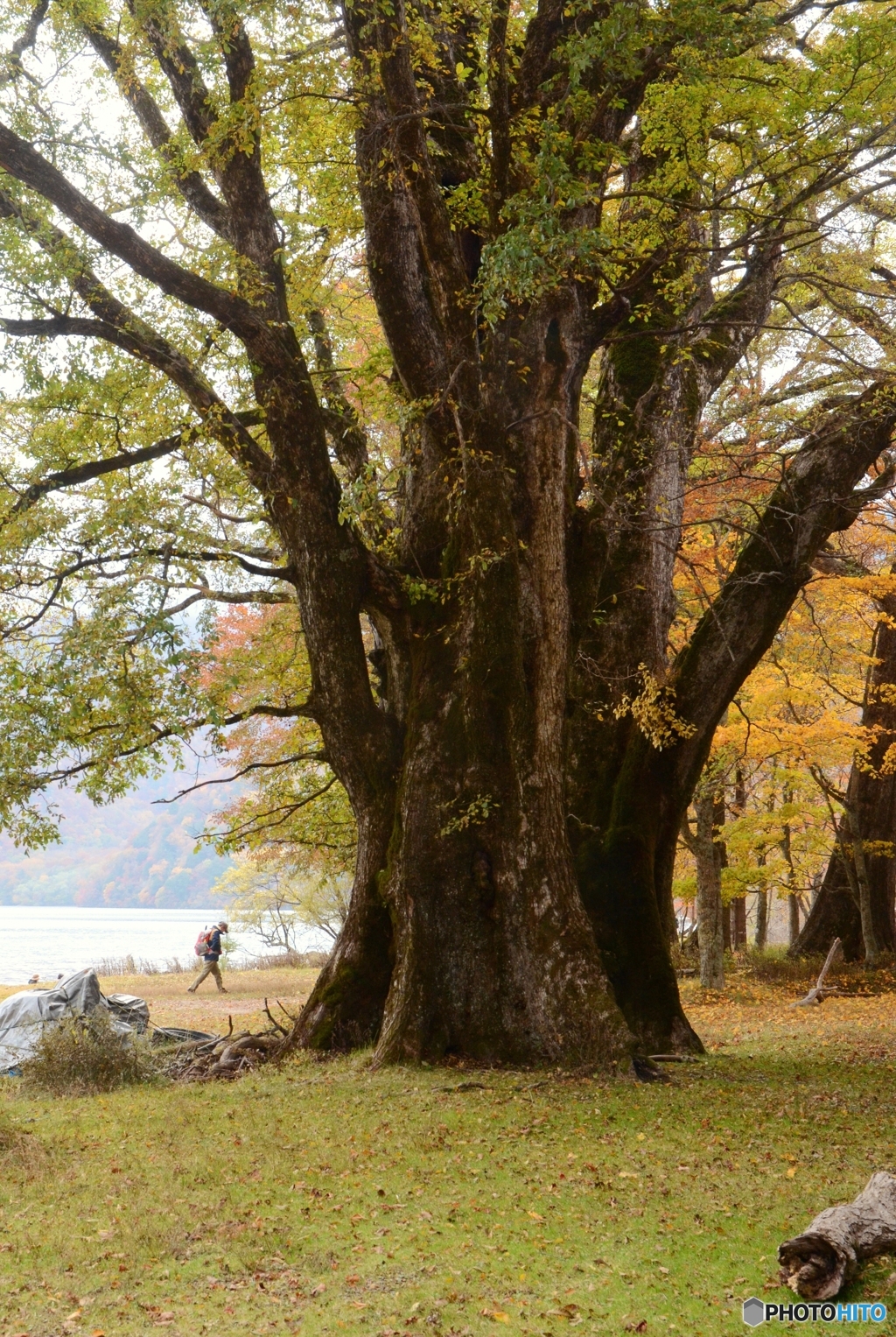 中禅寺湖の秋　２