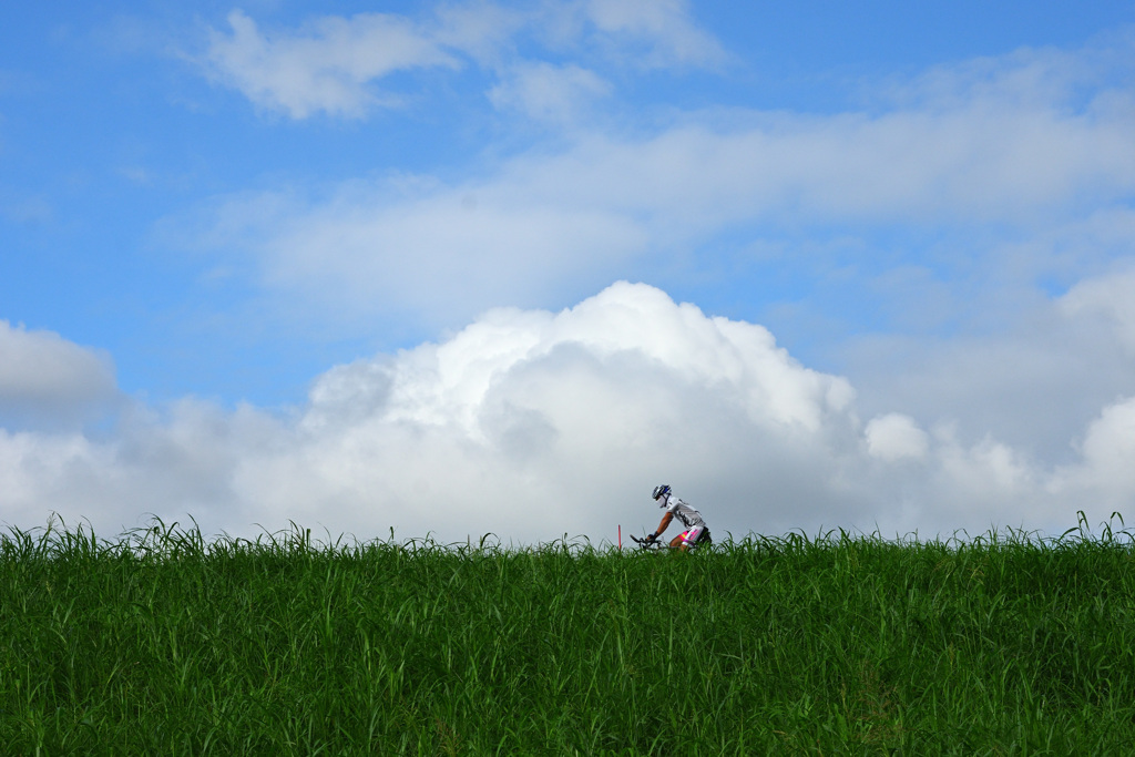 サイクリングロード
