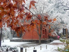 DSCN5248