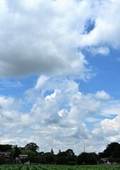 DSC_8290雲