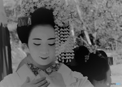 舞妓さん
