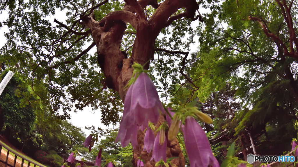 DSC_8366「・・・・」