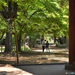 DSC_7914