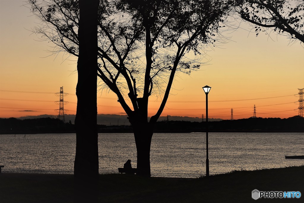 DSC_3248「街灯」