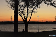 DSC_3248「街灯」