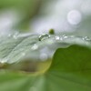 水滴の中の世界