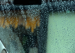 雨