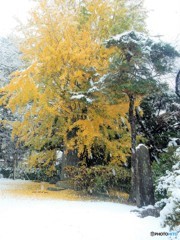 DSCN5260