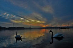 DSC_3142「日没」