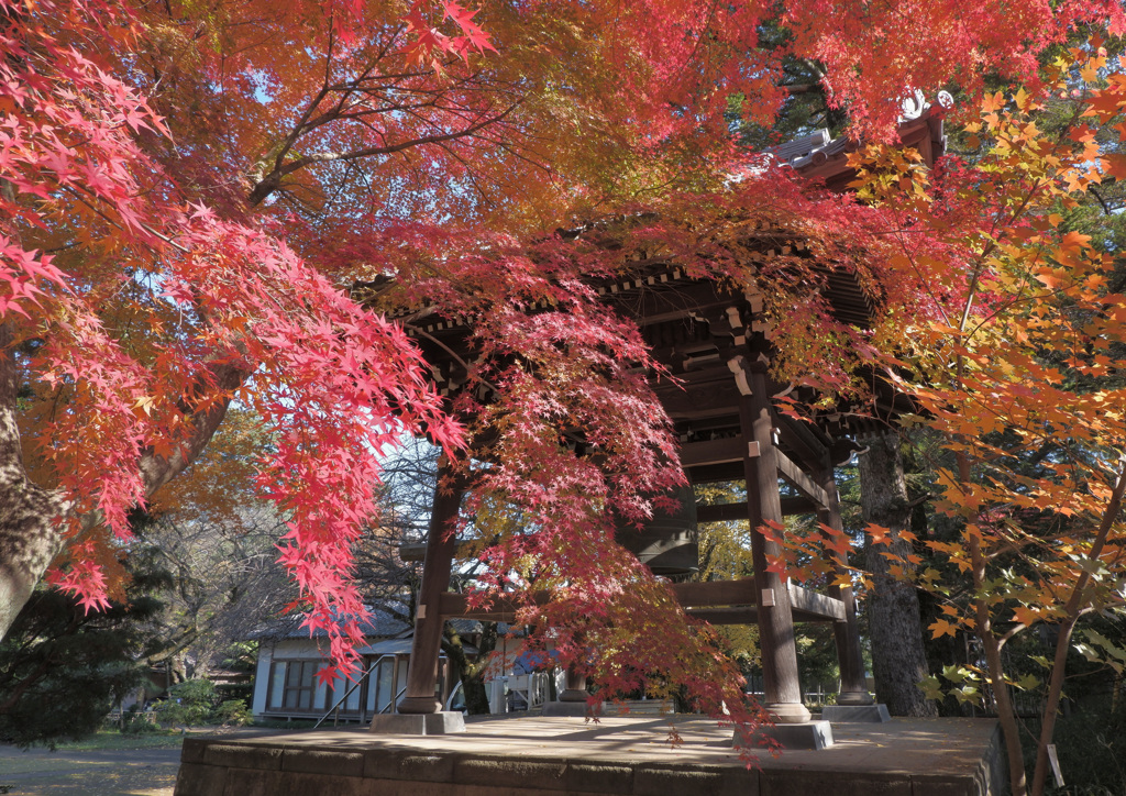 紅く染まる鐘撞き堂
