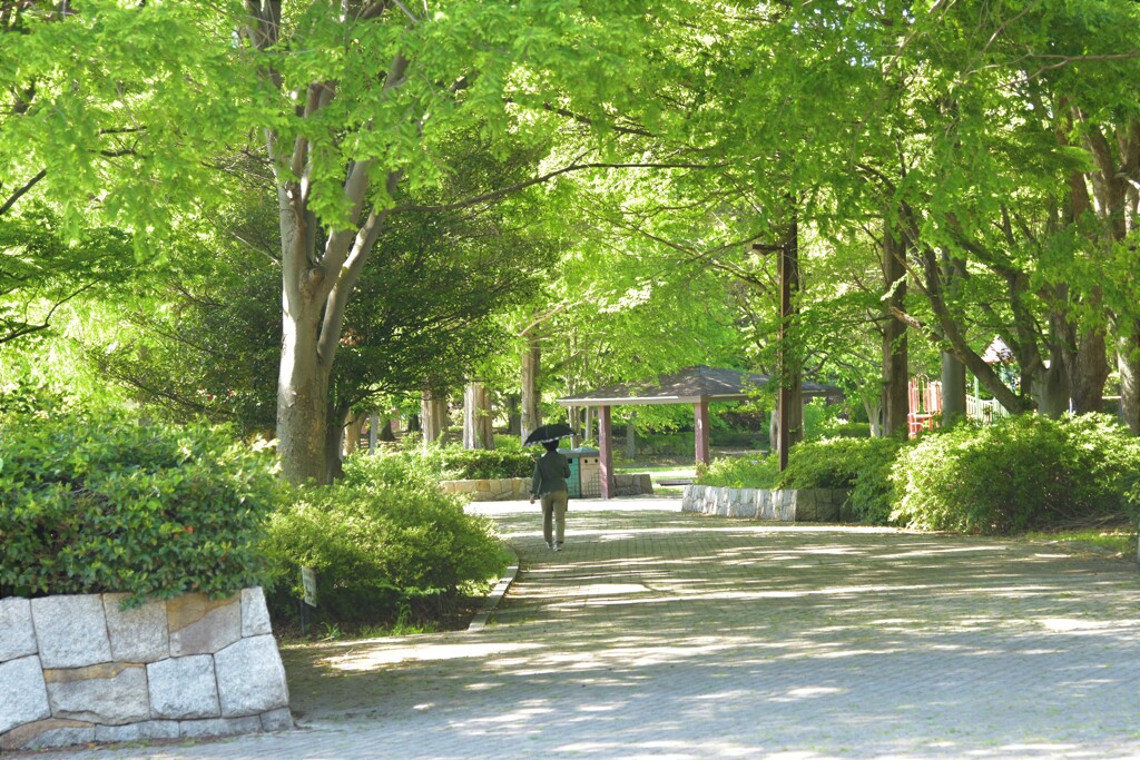 夏の様な陽差し