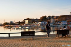 夕陽に照らされて