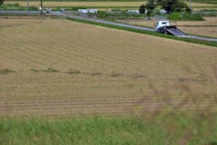 DSC_7869